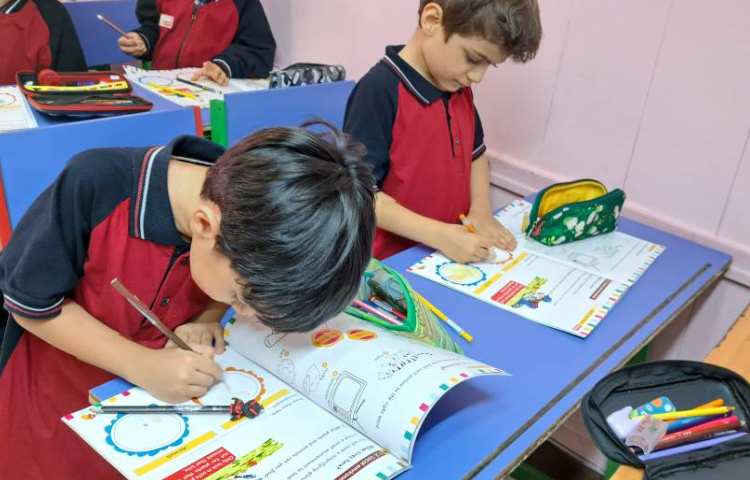 تمرین animals and plants task