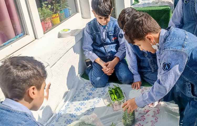 تهیه خیارشور 1