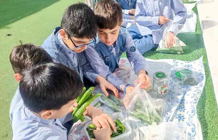 تهیه خیارشور 3