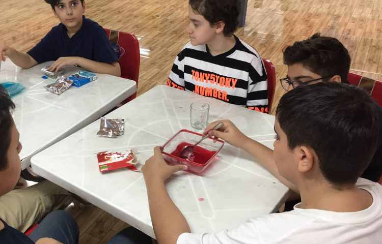 تهیه دسر ژله بستنی 1