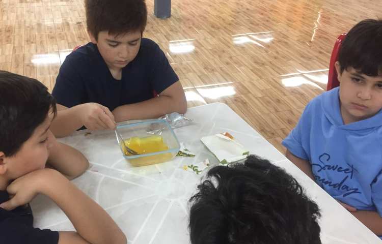 تهیه دسر ژله بستنی 4