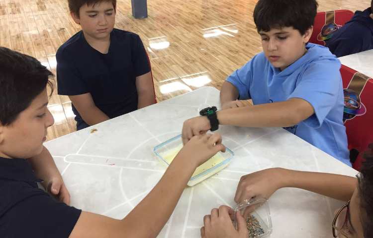 تهیه دسر ژله بستنی 5