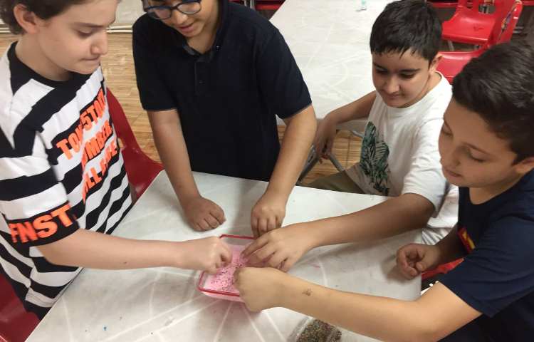 تهیه دسر ژله بستنی 8