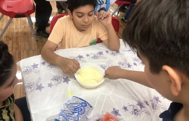 تهیه ژله بستنی 5