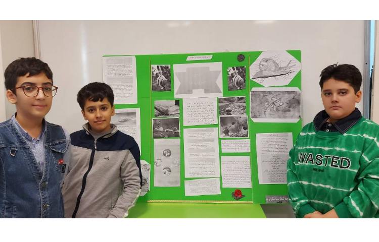 تهیه کارتوپلاست توسط آموزگار و دانش آموزان در قالب گروه‌های هوس سیستمی و ارائه آن 2