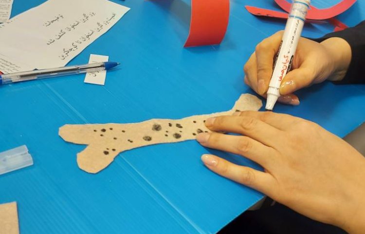 تهیه کارتوپلاست توسط آموزگار و دانش آموزان در قالب گروه‌های هوس سیستمی و ارائه آن 3