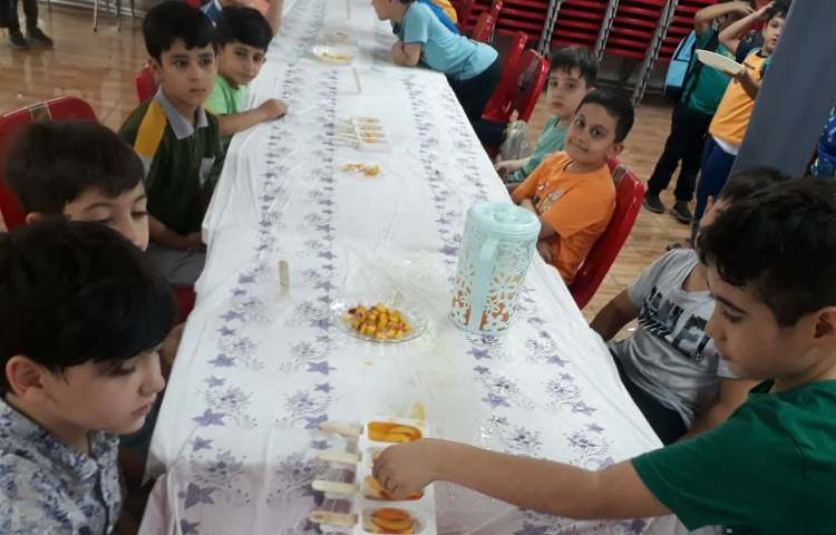 تهیه ی بستنی آلاسکایی 4