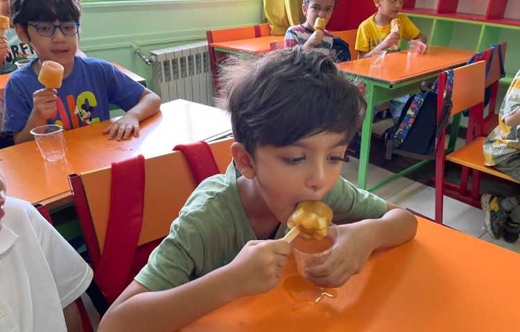 تهیه ی بستنی آلاسکایی 4