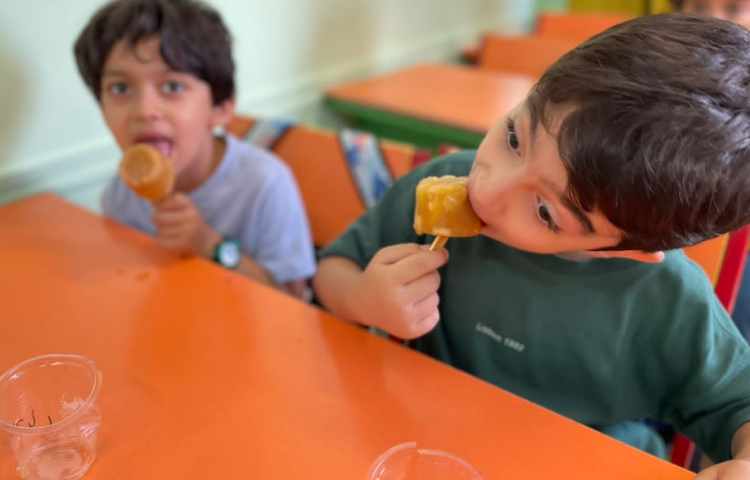 تهیه ی بستنی آلاسکایی 6