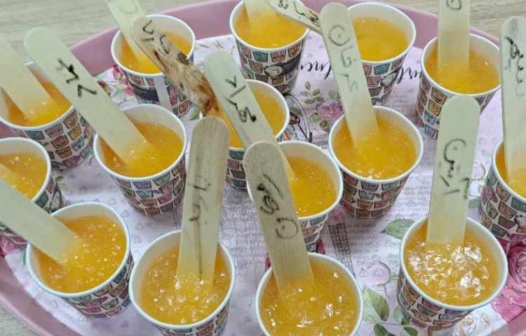 تهیه ی بستنی آلاسکایی 7