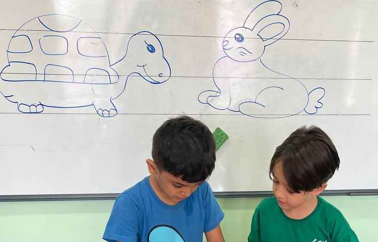 توالی اعداد بازی هدفمند با تاس اعداد 4