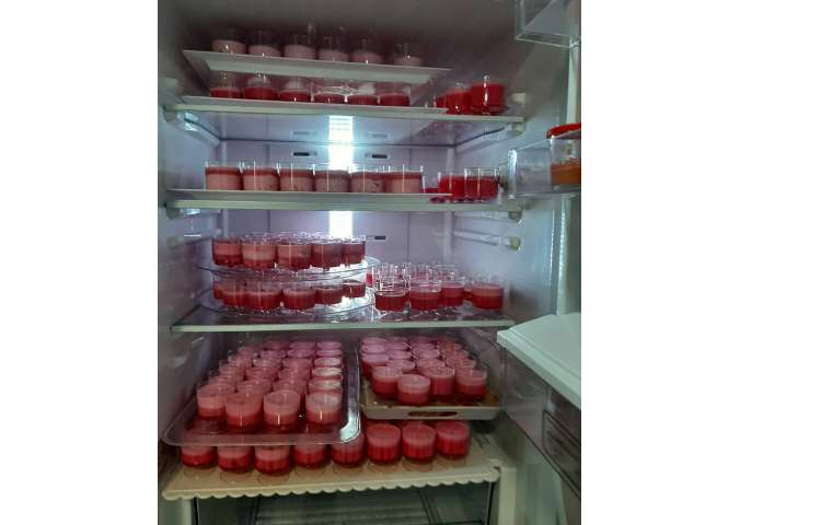 توزیع میانوعده خنک و پر انرژی در هفته چهارم پایگاه تابستانی 27