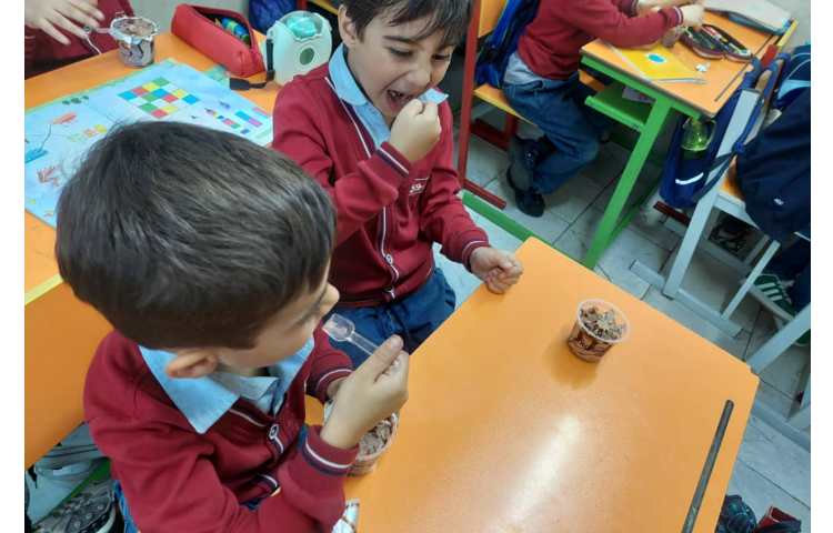 توزیع میانوعده در کلیه کلاس ها 4