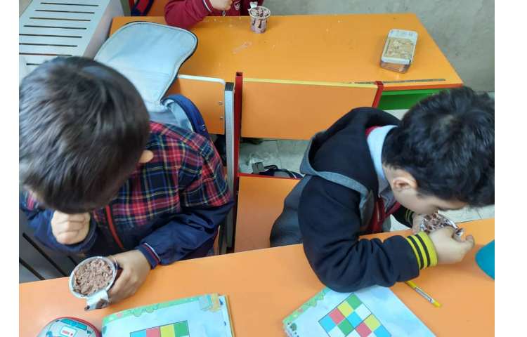 توزیع میانوعده در کلیه کلاس ها 8