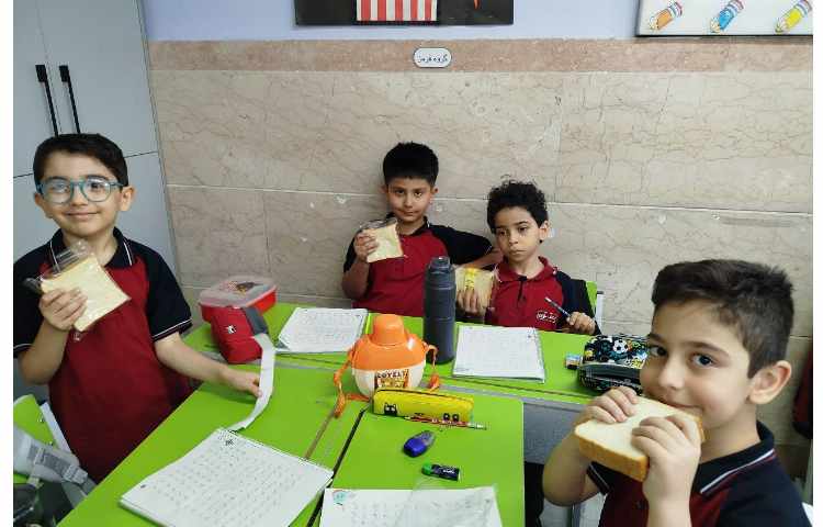 توزیع میانوعده سالم و مقوی 11