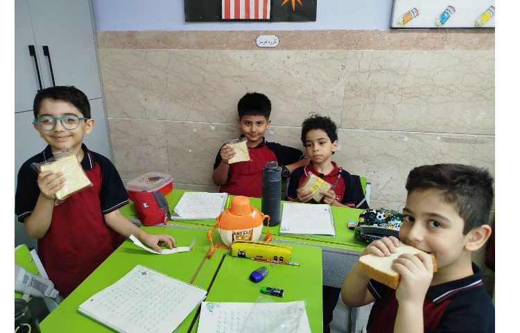 توزیع میانوعده سالم و مقوی 12