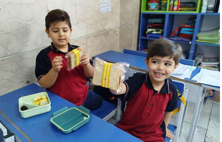 توزیع میانوعده سالم و مقوی 17