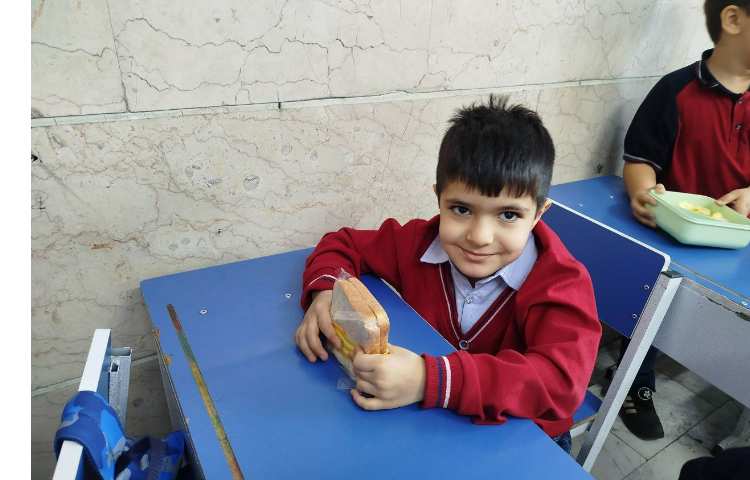 توزیع میانوعده سالم و مقوی 18