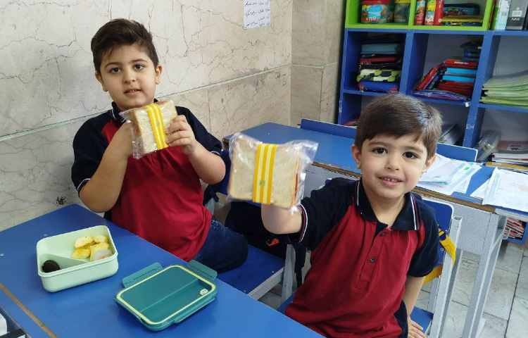 توزیع میانوعده سالم و مقوی 20