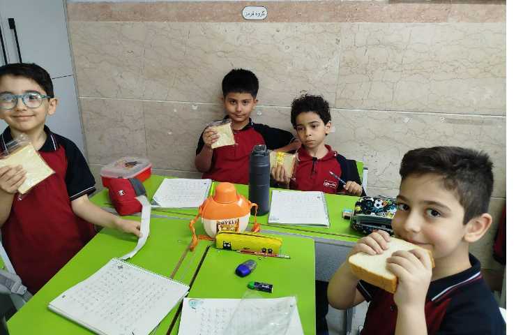 توزیع میانوعده سالم و مقوی 23