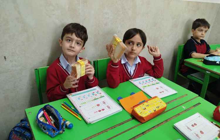 توزیع میانوعده سالم و مقوی 6