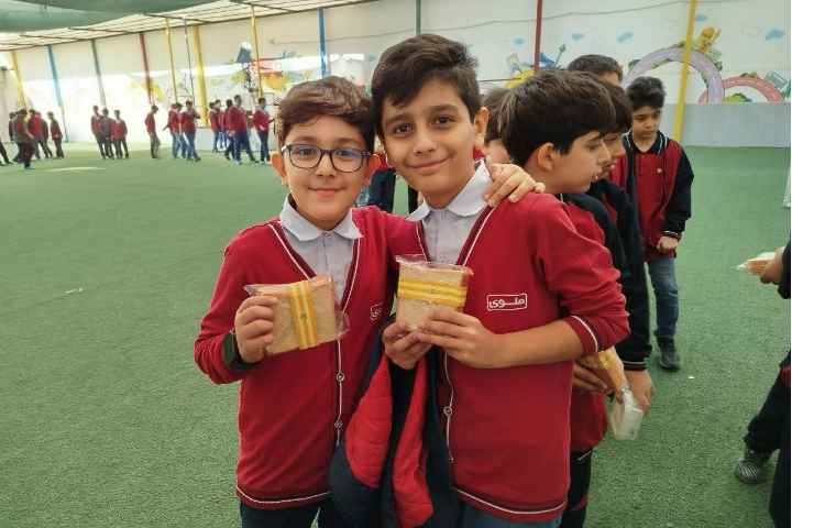 توزیع میانوعده سالم و مقوی 8