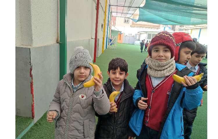 توزیع میانوعده سالم 1