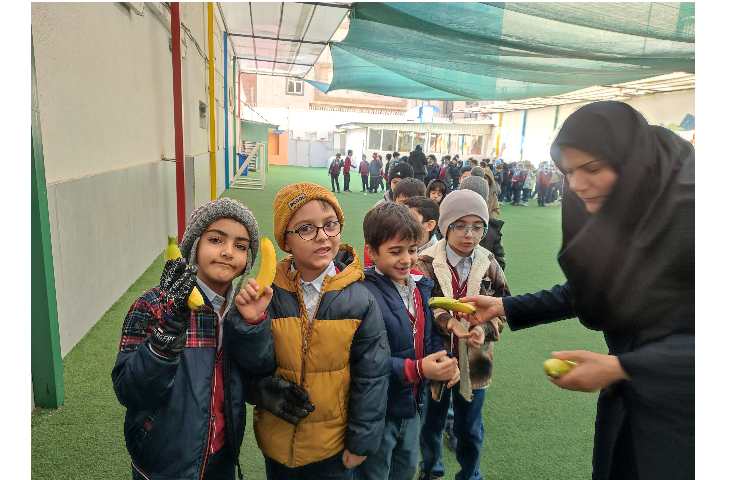 توزیع میانوعده سالم 2