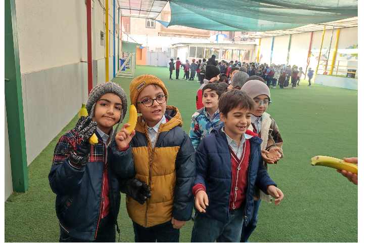 توزیع میانوعده سالم 3