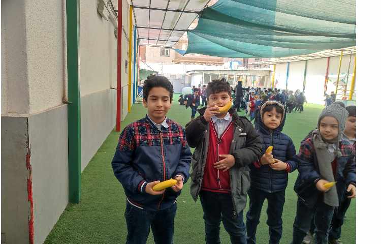 توزیع میانوعده سالم 4