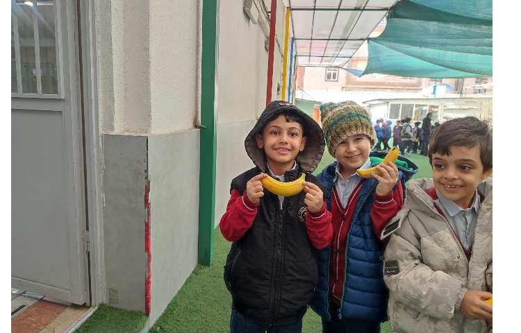 توزیع میانوعده سالم 5