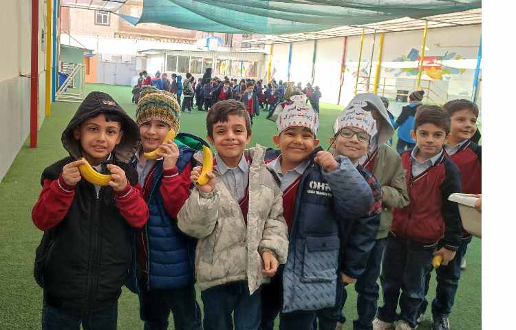 توزیع میانوعده سالم 6