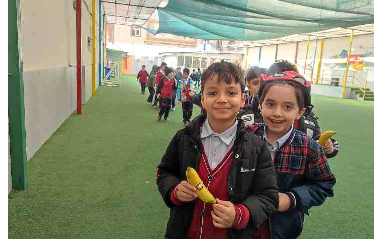 توزیع میانوعده سالم 7