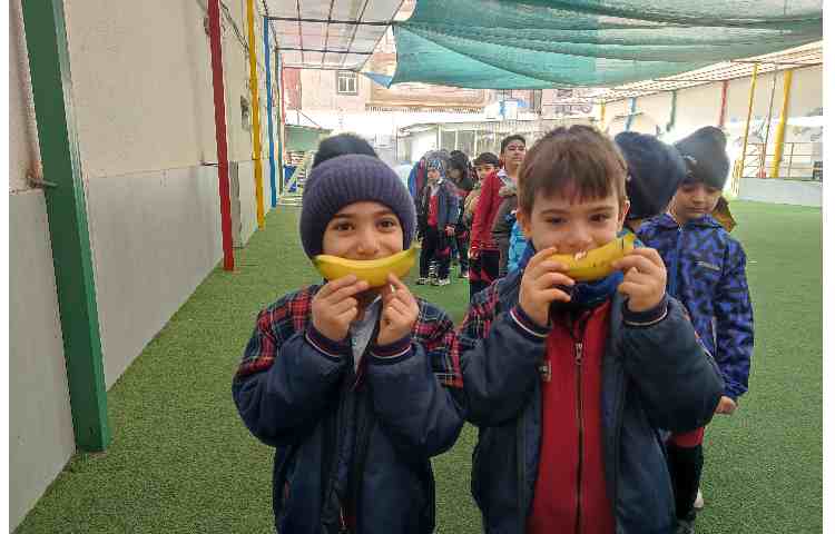 توزیع میانوعده سالم 8