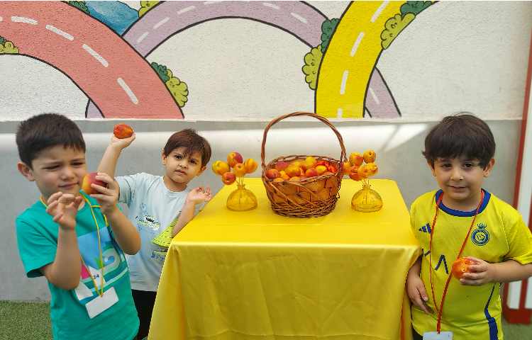 توزیع میانوعده میوه تمام پایه ها 1