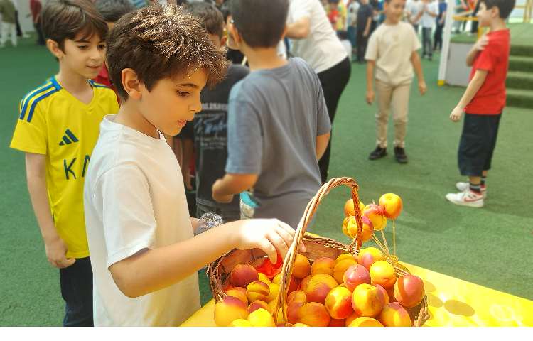 توزیع میانوعده میوه تمام پایه ها 12