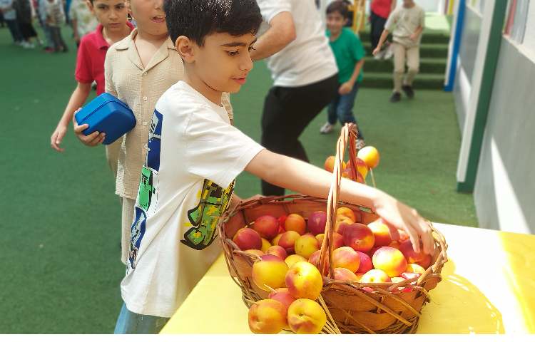 توزیع میانوعده میوه تمام پایه ها 13