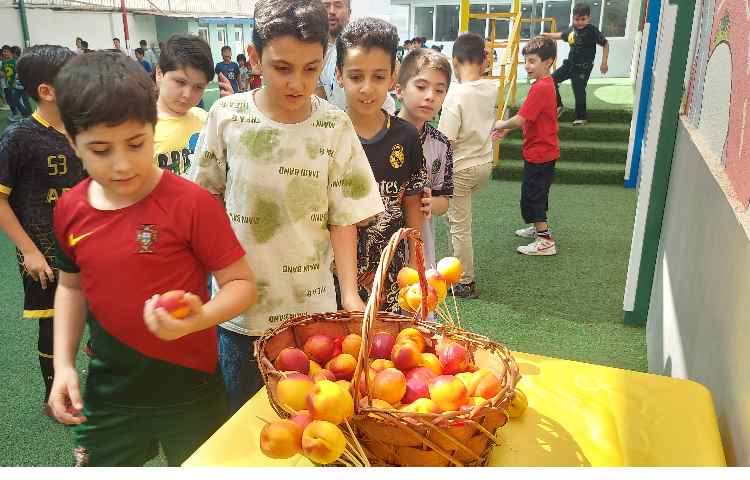 توزیع میانوعده میوه تمام پایه ها 14