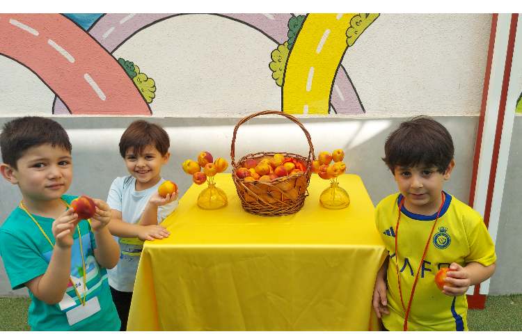 توزیع میانوعده میوه تمام پایه ها 2