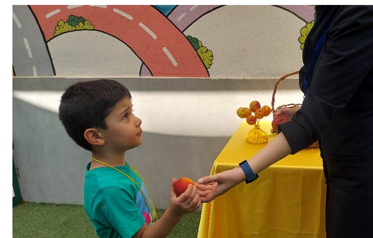 توزیع میانوعده میوه تمام پایه ها 3