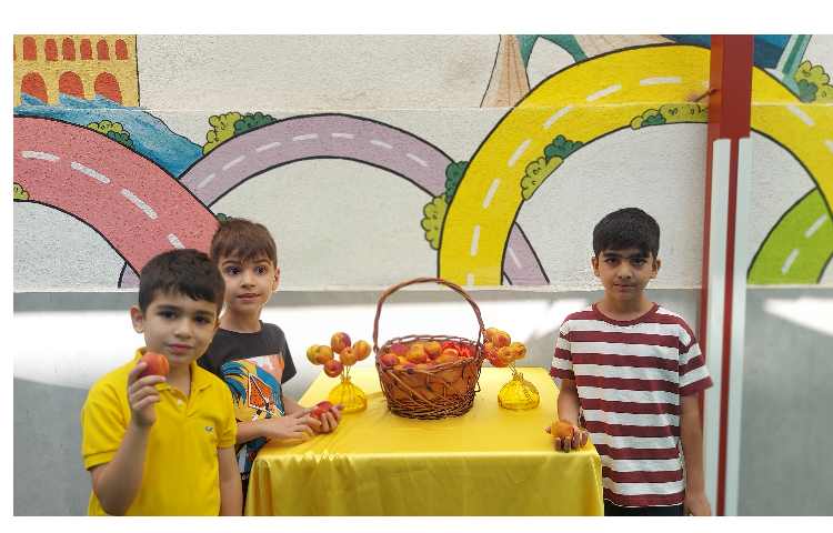 توزیع میانوعده میوه تمام پایه ها 4