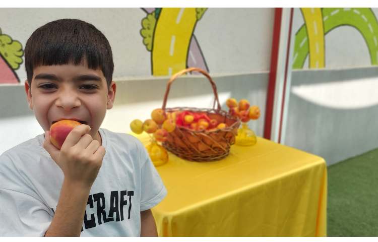 توزیع میانوعده میوه تمام پایه ها 5