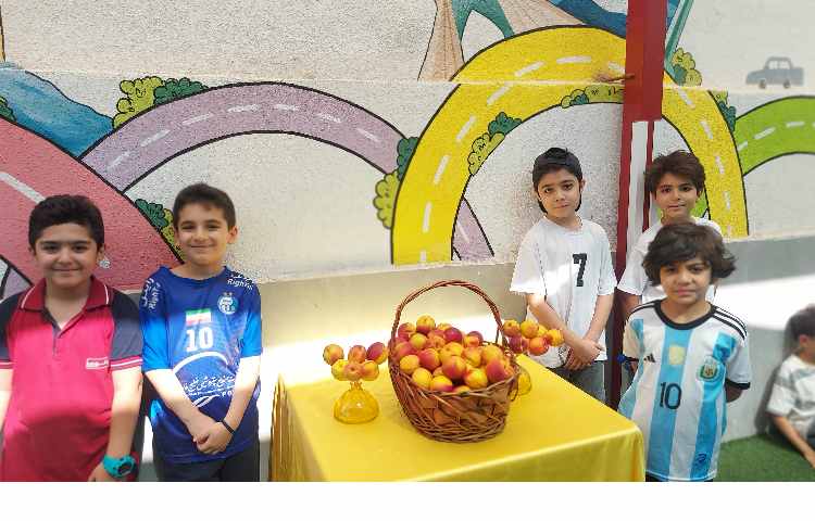 توزیع میانوعده میوه تمام پایه ها 7