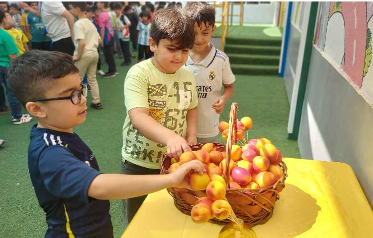 توزیع میانوعده میوه تمام پایه ها 9