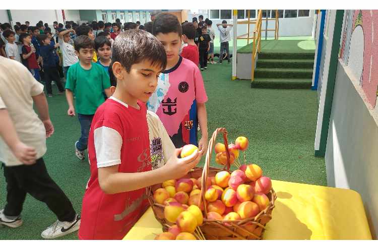 توزیع میانوعده میوه تمام پایه ها