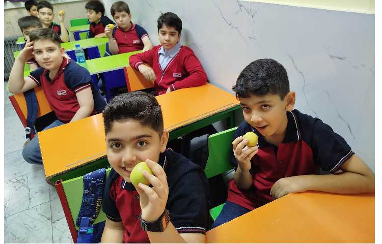 توزیع میانوعده میوه در آخرین روز هفته 11