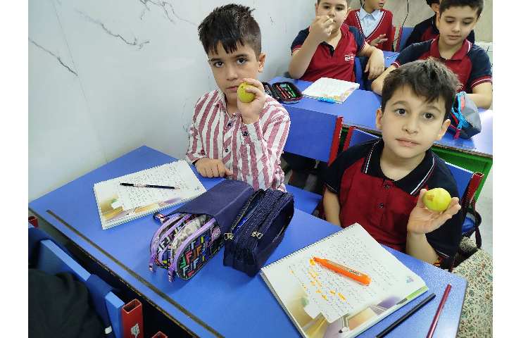 توزیع میانوعده میوه در آخرین روز هفته 15