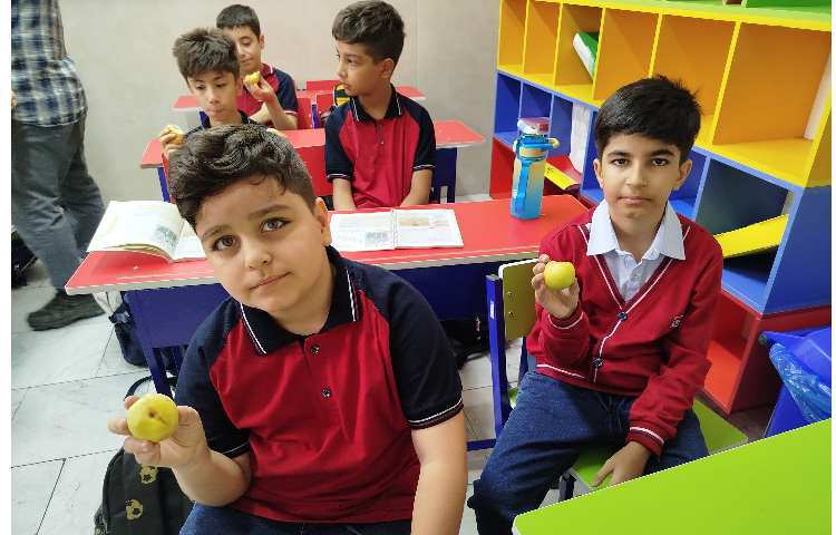 توزیع میانوعده میوه در آخرین روز هفته 17