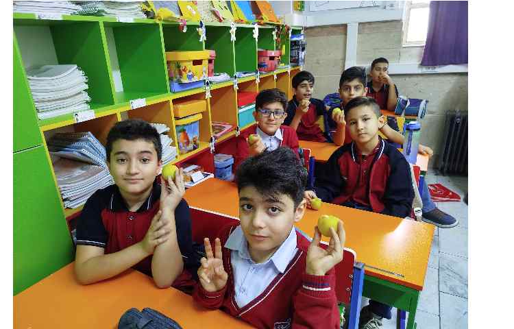 توزیع میانوعده میوه در آخرین روز هفته 20