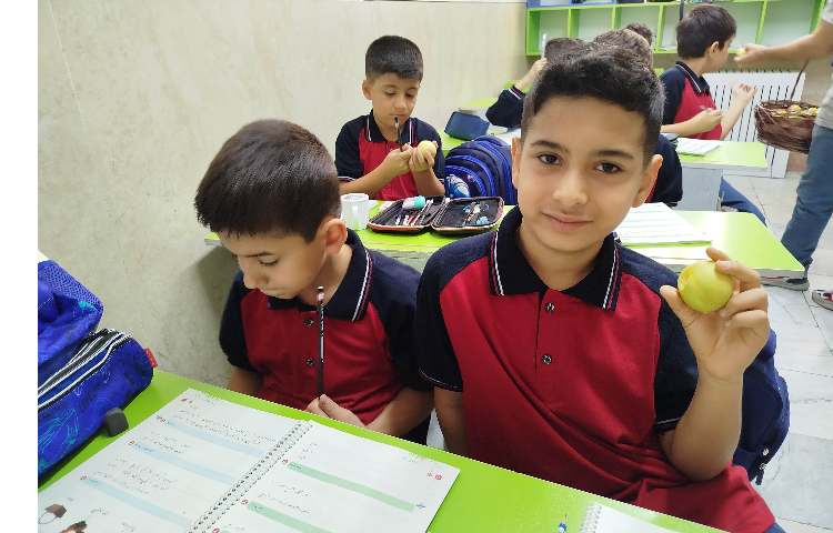 توزیع میانوعده میوه در آخرین روز هفته 4